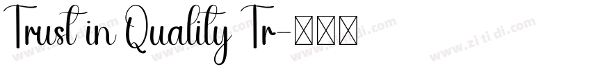 Trust in Quality Tr字体转换